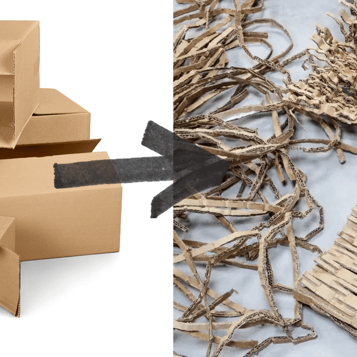 Cardboard boxes being recycled into honeycomb and shredded cardboard packaging material using a cardboard shredder.