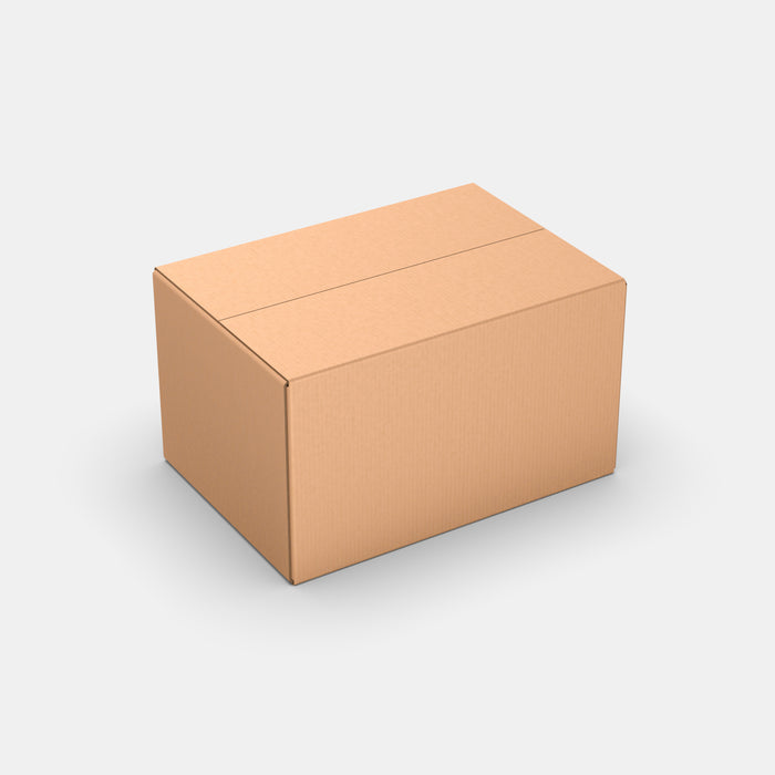 DPD L100% parcel locker box 600×420×350 mm – closed cardboard box on white background