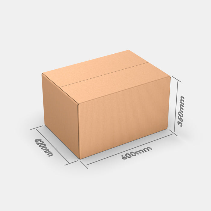 DPD L100% parcel locker box 600×420×350 mm – closed cardboard box with dimensions labeled on white background