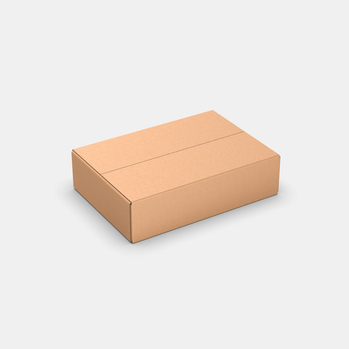 DPD M100% parcel locker box 600×420×160 mm – closed cardboard box on white background