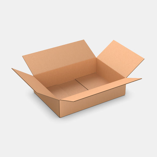 DPD M100% parcel locker box 600×420×160 mm – open cardboard box on white background