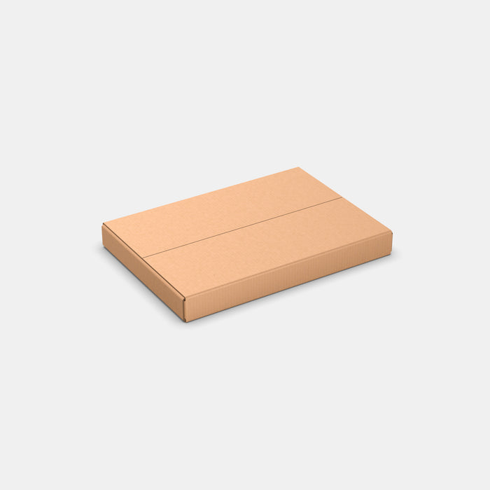 DPD S100% parcel locker box 600×420×70 mm – closed cardboard box on white background