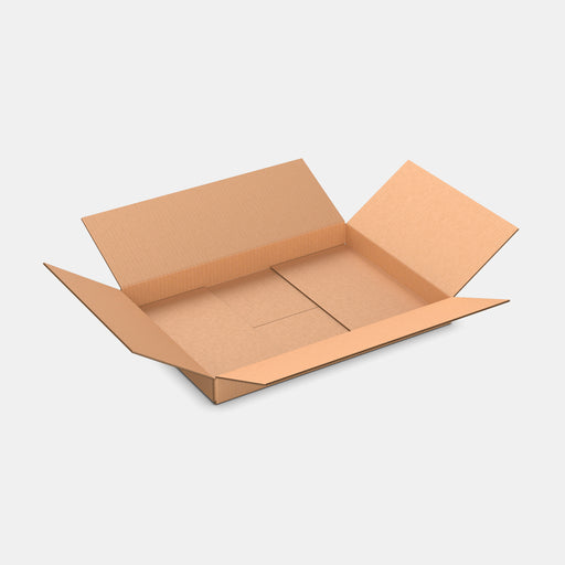 DPD S100% parcel locker box 600×420×70 mm – open cardboard box on white background
