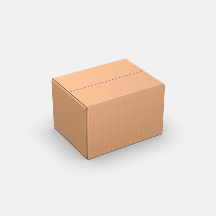 PASTS M 50% parcel locker box 290×370×240 mm – closed cardboard box on white background